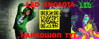 стаф Бердск