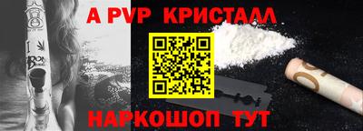 стаф Бердск