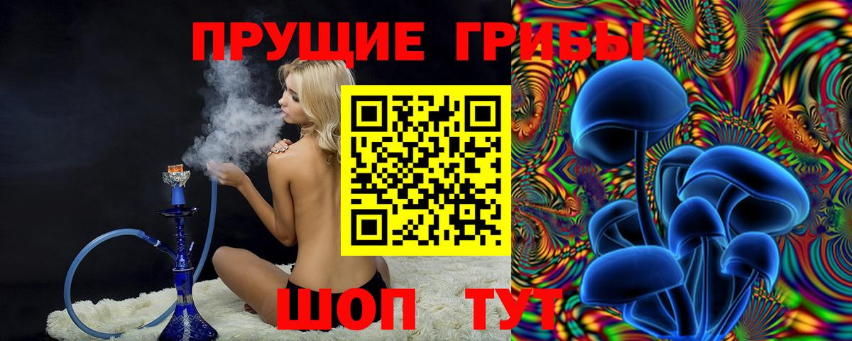 Псилоцибиновые грибы Magic Shrooms Каменск-Шахтинский