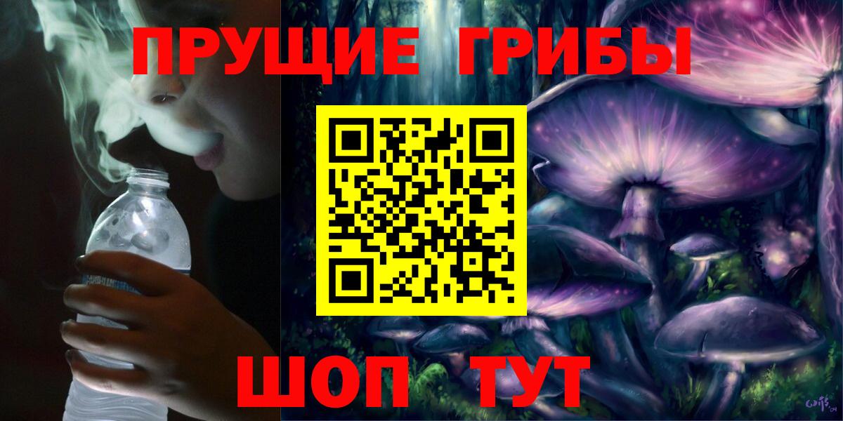Псилоцибиновые грибы мухоморы  купить наркоту  Галлюциногенные грибы мухоморы  Каменск-Шахтинский  Вход с VPN 